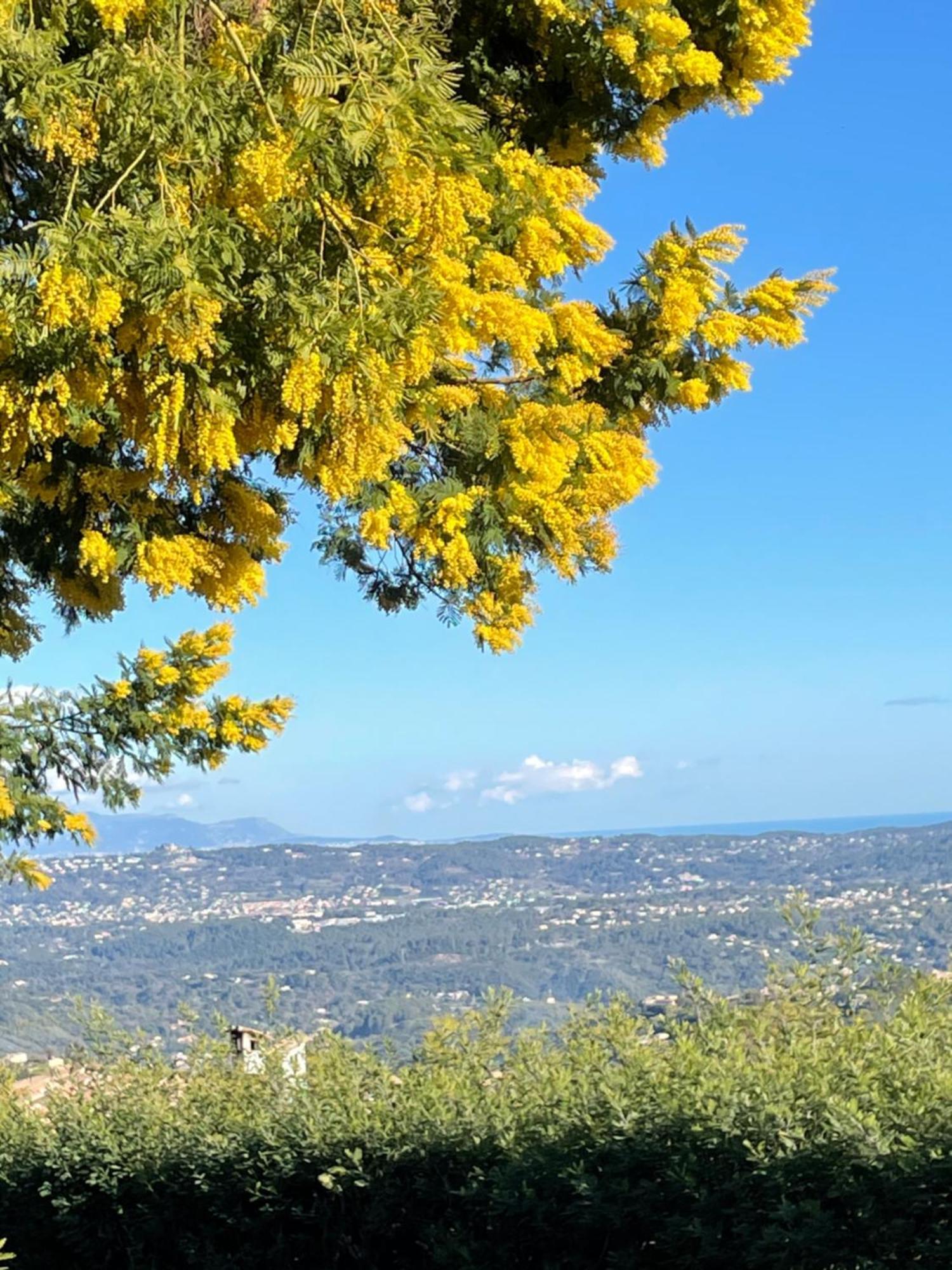 مبيت وإفطار فونس Au Pied Des Baous المظهر الخارجي الصورة